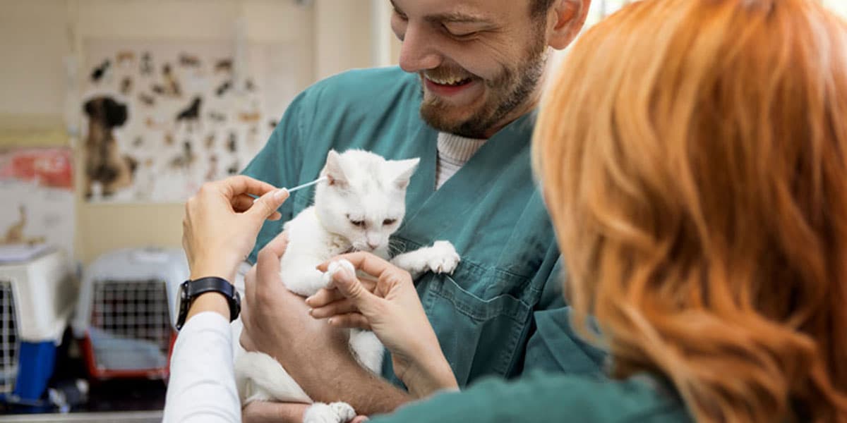 HOPE Animal Foundation